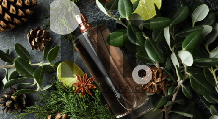 Read more about the article Woody Natural Fragrance Embrace the Earthy, Rich Aromas of Nature in Every Spray